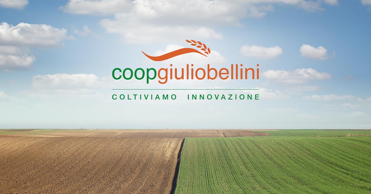 COOPERATIVA AGRICOLA BRACCIANTI GIULIO BELLINI SCARL — foto 2